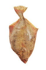 Raw flatfish.