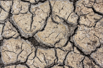 drought