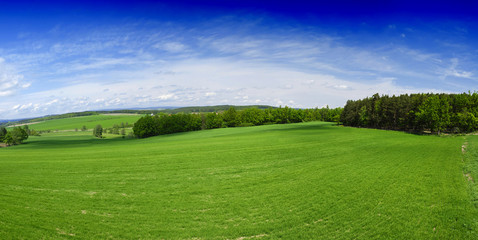 Spring field