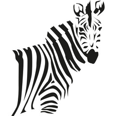 zebra © mmmg