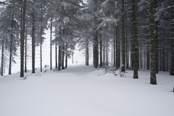Zima w polskich górach Beskidach