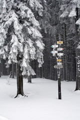 Polskie góry Beskidy zimą © jacekbieniek