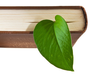 book with a green leaf