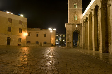 Naklejka premium Trani by night- Arch of cathedral