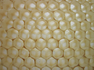 beeswax texture without honey