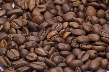 background of coffee beans
