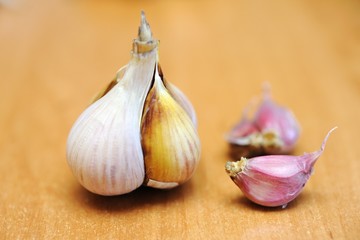 Garlic
