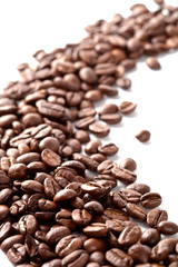 coffee beans closeup