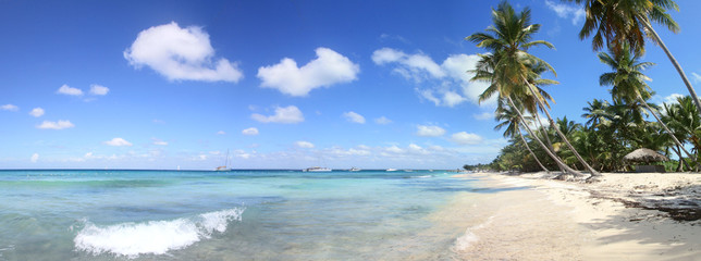 Obraz premium Plage des Caraïbes