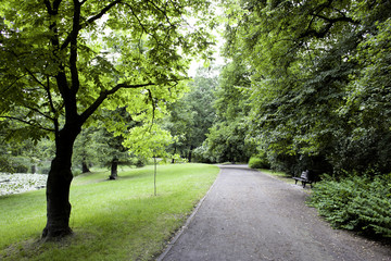 Park in spring time