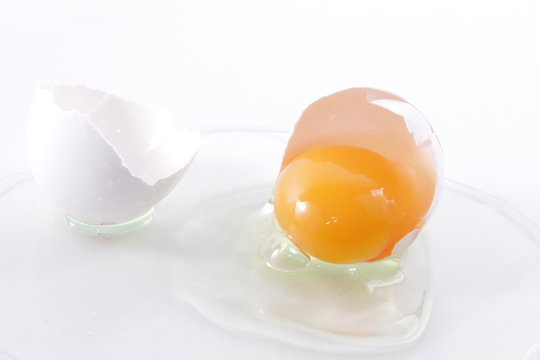 eier