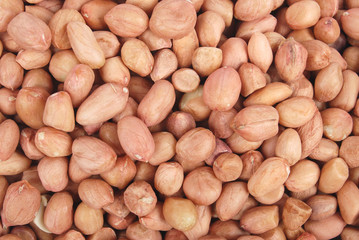 Peanut