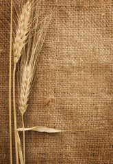 Wheat