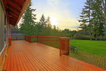 Back yard with pine trees with deck