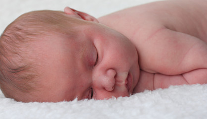 Portrait of a newborn baby