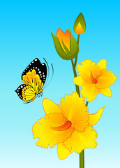 Beautiful orchid on the background with butterfly