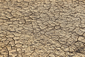 loam in a saline basin