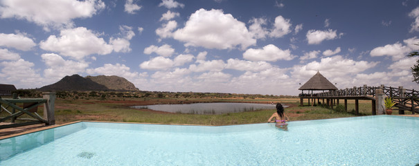 Safari from the Pool