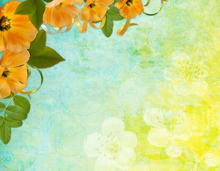 Background for congratulation  card