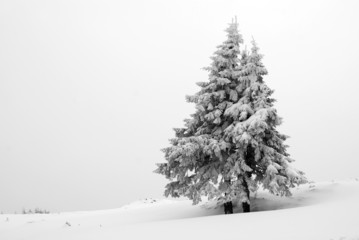 Fototapeta premium Carpathians, Romania