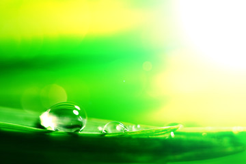 Fototapeta na wymiar shine water drop