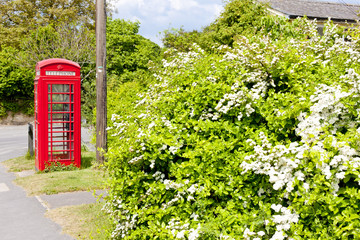Fototapeta na wymiar telephone booth, Reach, England