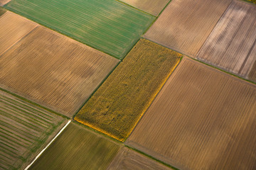 aerial of fields in indian summer colors