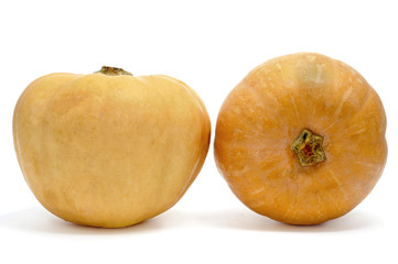 pumpkins