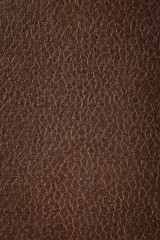 Texture de cuir marron naturel. Fermer.