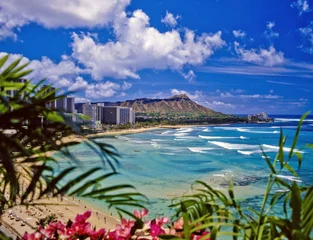Foto op Aluminium Waikiki Beach en Diamond Head in Hawaï © tomas del amo