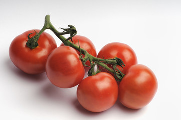Strauchtomaten