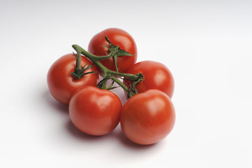Strauchtomaten