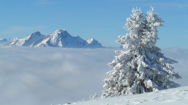Mount Pilatus from Rigi