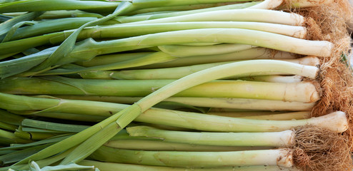 green, fresh leeks