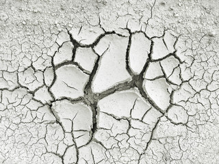 dry earth cracked