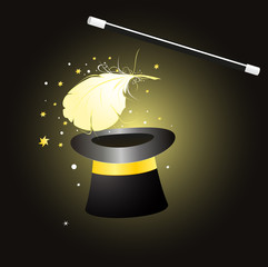 magic hat with feather