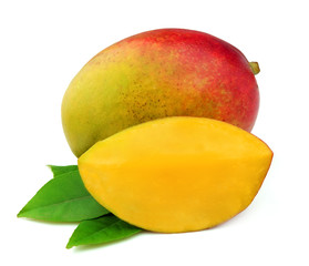 Mango fetus