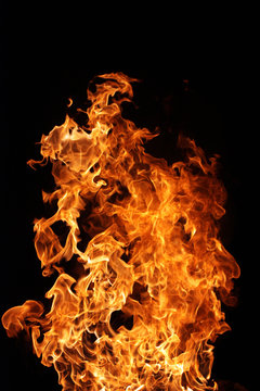 fire on black background