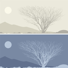 Desert landscape at day and at night