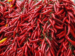Fototapeta premium Paprika