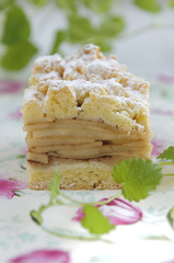 Szarlotka - traditional polish apple pie