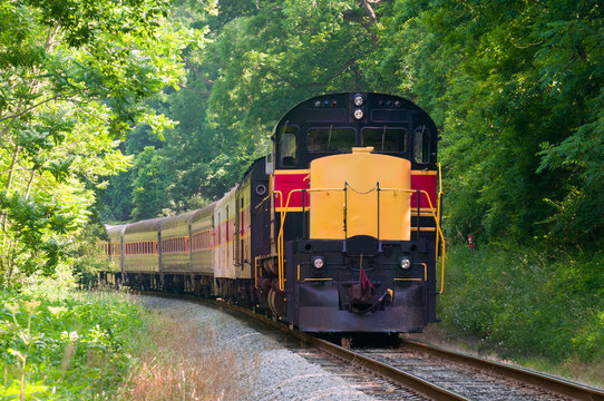 Fototapeta Scenic passenger train rounding a curve in a forest