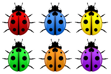 Ladybugs in Different Colors Isolated