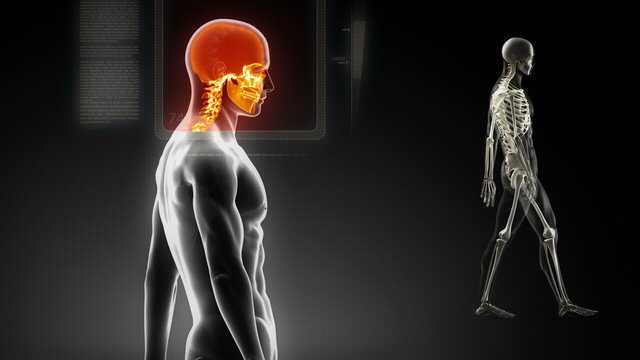 Walking body scanned