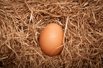 Egg in cowshed on the hay