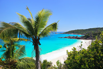 Obraz na płótnie Canvas Perfect beach in Seychelles