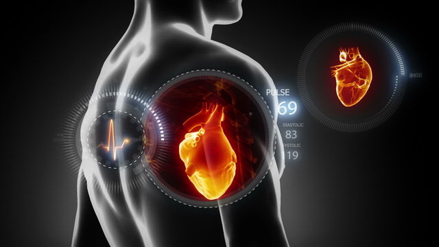Human heart beating inside chest