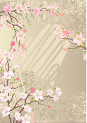 Beautiful background with blossoming cherry branches