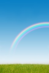 Naklejka premium 青空と虹