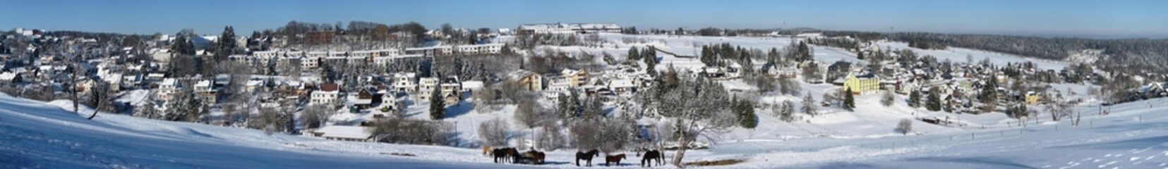 Obraz premium Winterpanorama